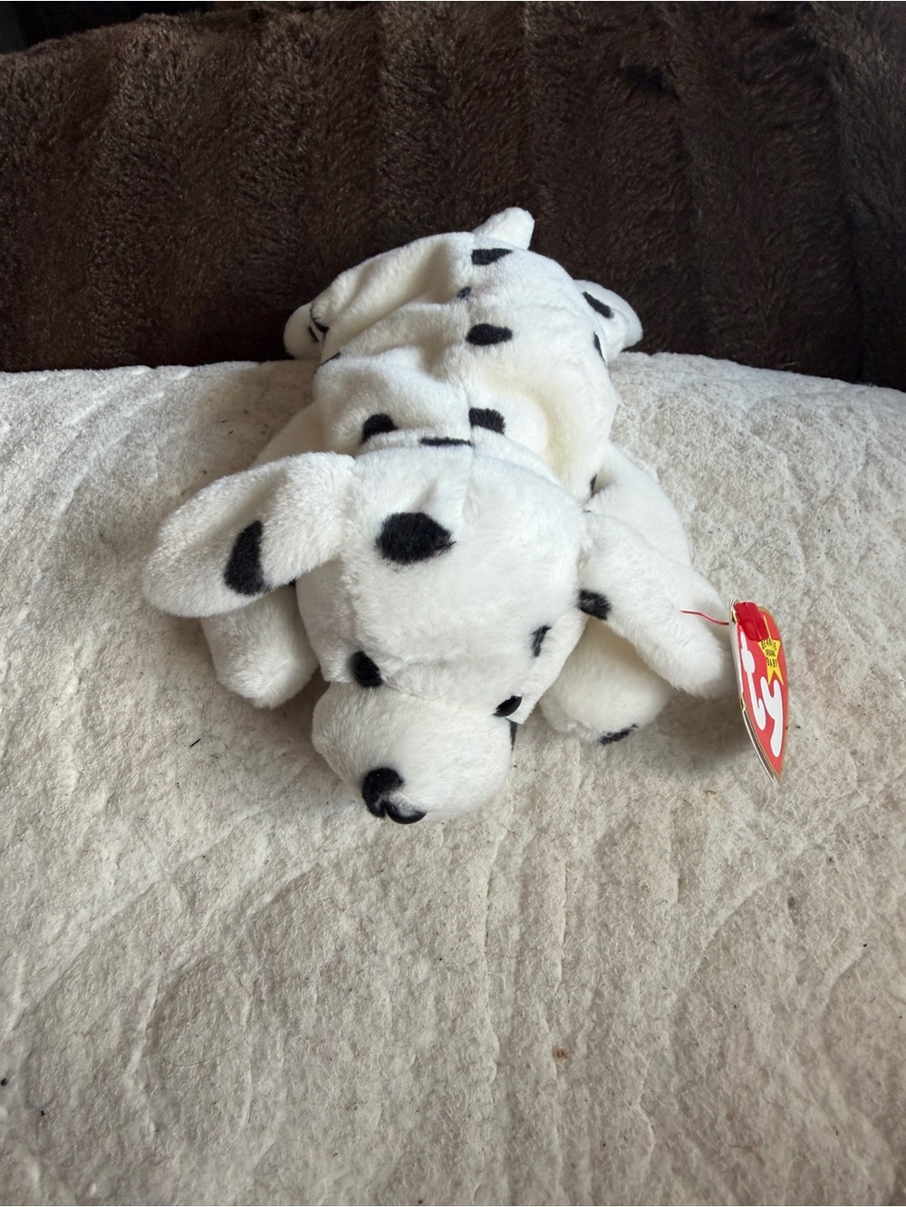 TY NWT Beanie Baby Dalmatian Sparky Plush Dog - White with Black Spots